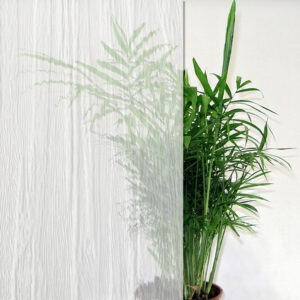 clear bark