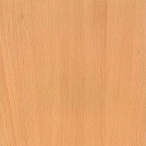 beech