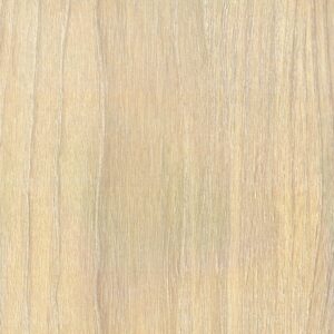 white elm