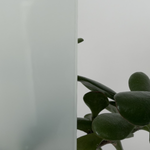 Steel Design – frosted connex